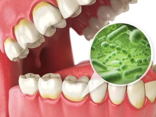 Las bacterias orales y los numerosos microbios de la boca